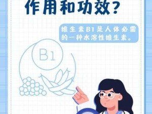 欧亚尺码专线欧洲 B1B1 开放免费特权，提供高效、便捷、优质的物流服务