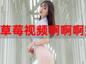 大团圆结亲情会妈妈的爱的美味之选