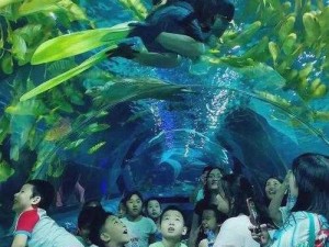 珊瑚岛第年祭品：海底神秘动物踪迹探寻之旅