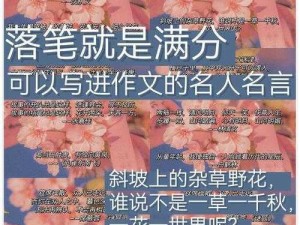 往日珍藏：字弓的妥善存放之道