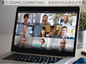 兽王 ZOOMCLOUDMEETINGS，高效协作的云端会议专家