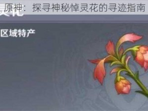 原神：探寻神秘悼灵花的寻迹指南