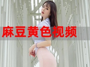 精品国产精品网麻豆系列——高清画质，让你欲罢不能