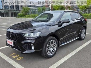 weyvv5 国产的 suv，智能驾驶更安全，不再限制观看