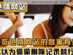 18 款黄台禁用免费网站视频，拥有丰富的视频资源，内容精彩无广告