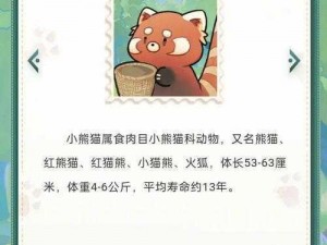 阴阳师小熊猫大挑战活动攻略详解：玩转阴阳师小熊猫冒险之旅