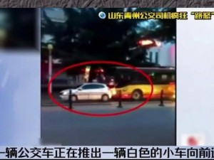 张家口男子多次别停公交车，原因竟然是……