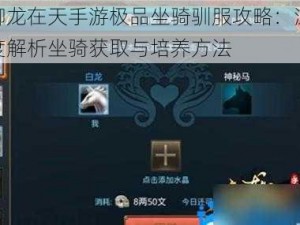 御龙在天手游极品坐骑驯服攻略：深度解析坐骑获取与培养方法