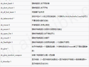 求生之路2单人游戏秘籍使用指南