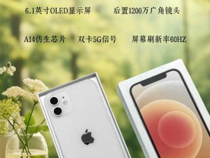 中国成熟 iPhone，性能卓越，品质可靠，值得拥有