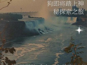 宠物冒险之旅：探索未知世界的无尽乐趣