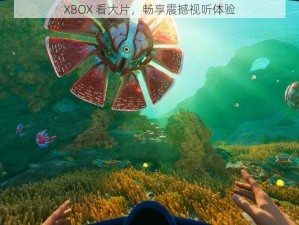 XBOX 看大片，畅享震撼视听体验