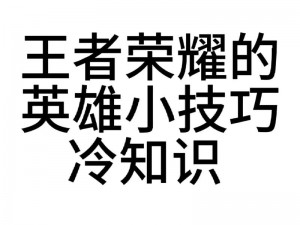 王者荣耀操作精英秘籍揭秘：深度解析进阶技巧与冷门知识宝典