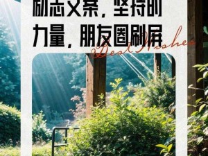 长期坚持，不断进步——[产品名称]，让你在追求卓越的道路上日日精进，久久为功