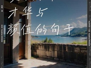 才华共享双胞胎齐娜齐琳——美貌与智慧并存的女典范，拥有无限潜能，你值得拥有