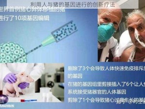 利用人与猪的基因进行的创新疗法