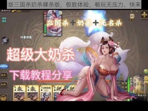 最新版三国杀奶杀裸杀版，极致体验，畅玩无压力，快来下载