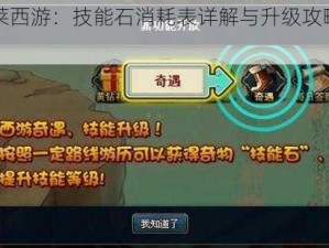 胡莱西游：技能石消耗表详解与升级攻略指南