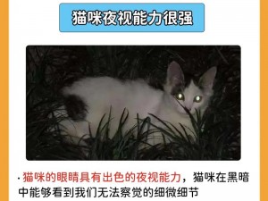 生世里桃花：凡人养猫，仙人养灵偶