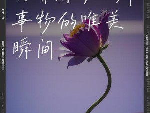 添花核心的视频：创新的科技，点亮生活的每个瞬间