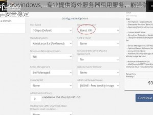 老奶奶 vpswindows，专业提供海外服务器租用服务，能强劲，操作简单，安全稳定