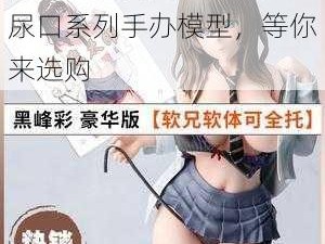 优质动漫美女脱小内内露尿口系列手办模型，等你来选购