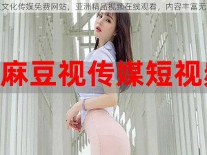 麻豆文化传媒免费网站，亚洲精品视频在线观看，内容丰富无广告