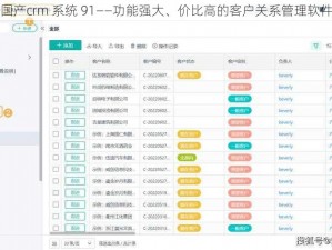 国产crm 系统 91——功能强大、价比高的客户关系管理软件