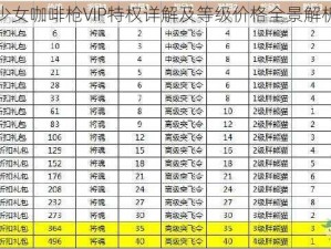 少女咖啡枪VIP特权详解及等级价格全景解析