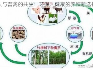 人与畜禽的共生：环保、健康的养殖新选择