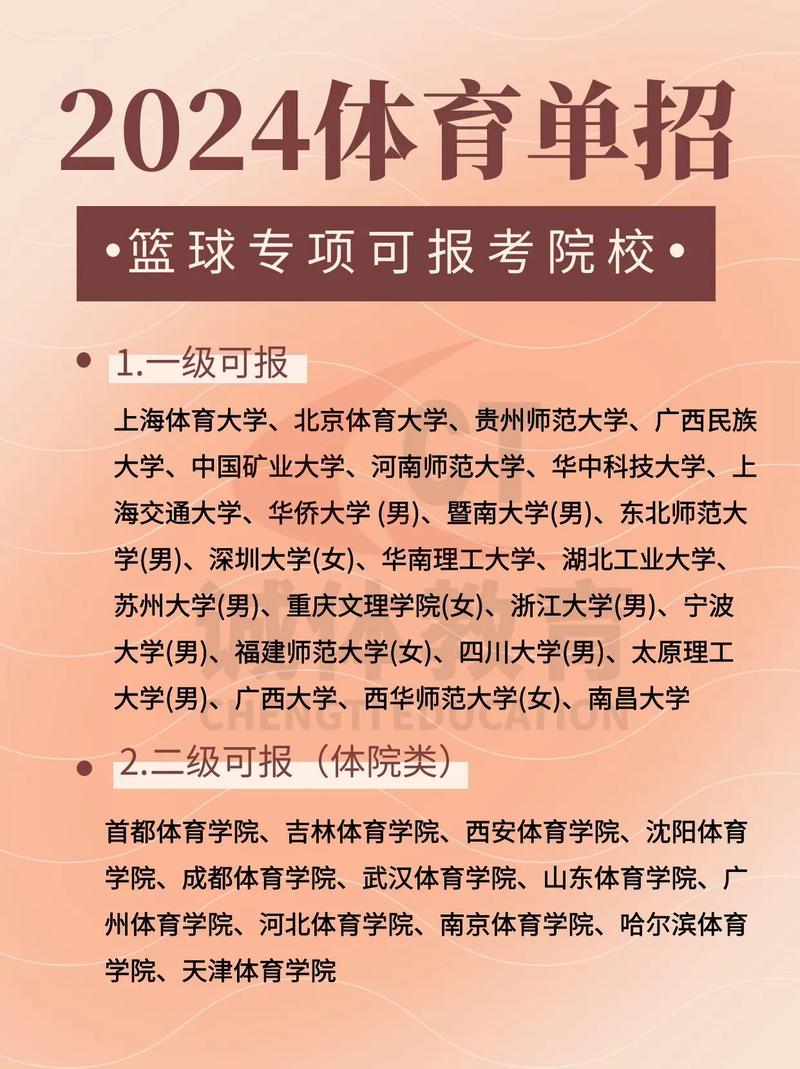 大学篮球体育飞机 chinese 的特点：集运动与科技于一身，带来全新的飞行体验