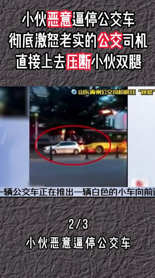 张家口男子多次别停公交车，原因竟然是……