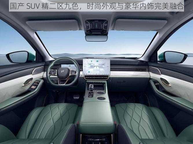 国产 SUV 精二区九色，时尚外观与豪华内饰完美融合