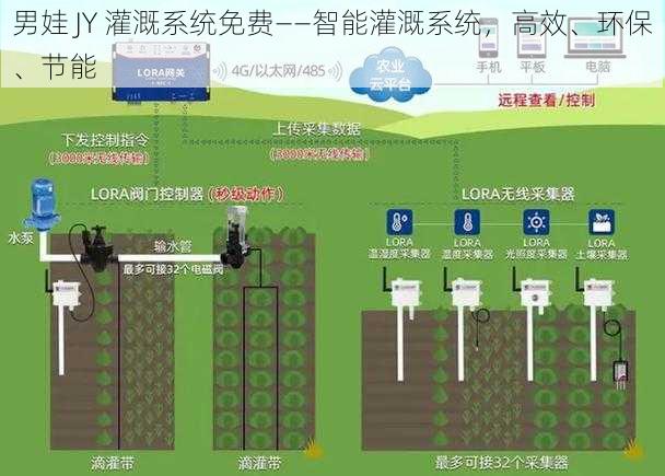 男娃 JY 灌溉系统免费——智能灌溉系统，高效、环保、节能