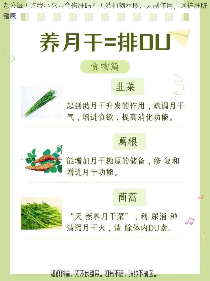 老公每天吃我小花园会伤肝吗？天然植物萃取，无副作用，呵护肝脏健康