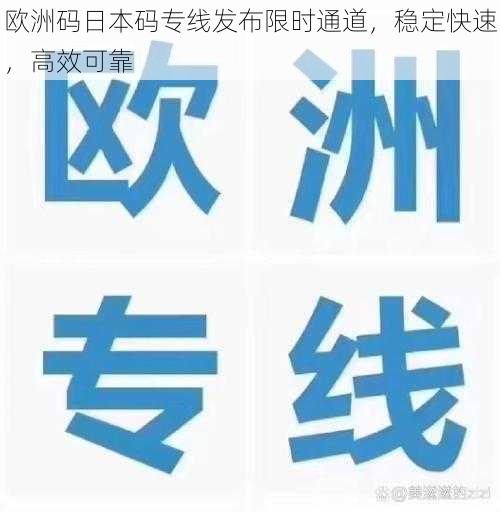 欧洲码日本码专线发布限时通道，稳定快速，高效可靠