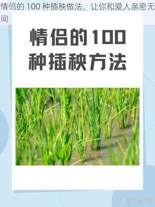 情侣的 100 种插秧做法，让你和爱人亲密无间