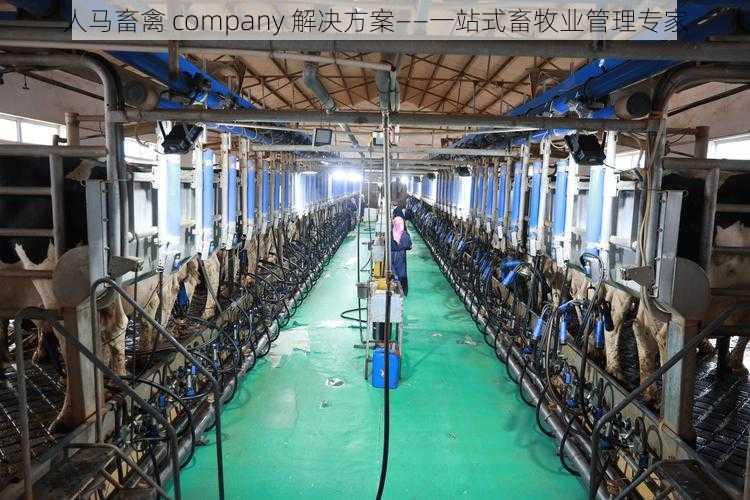 人马畜禽 company 解决方案——一站式畜牧业管理专家