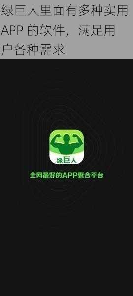 绿巨人里面有多种实用 APP 的软件，满足用户各种需求