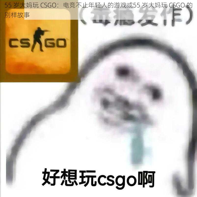 55 岁大妈玩 CSGO：电竞不止年轻人的游戏或55 岁大妈玩 CSGO 的别样故事