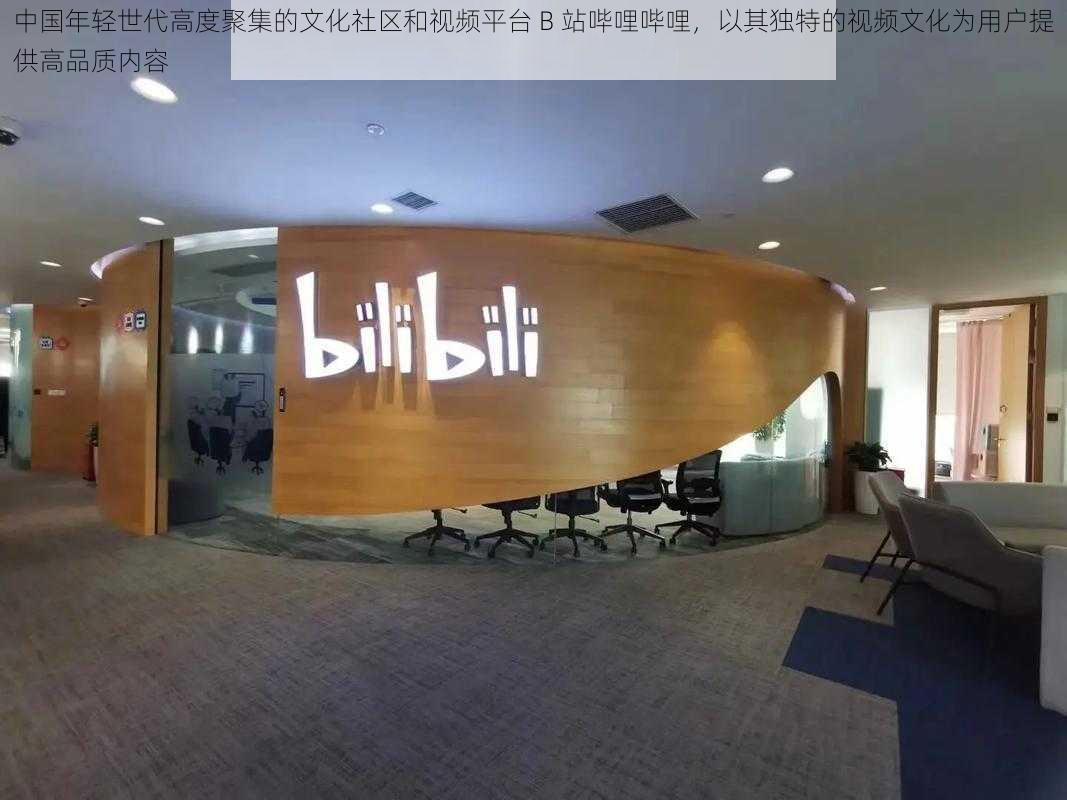 中国年轻世代高度聚集的文化社区和视频平台 B 站哔哩哔哩，以其独特的视频文化为用户提供高品质内容