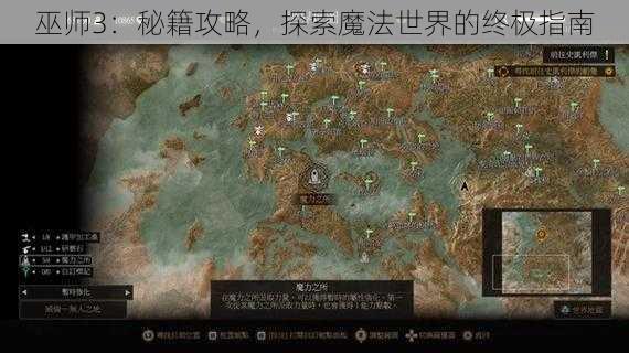 巫师3：秘籍攻略，探索魔法世界的终极指南