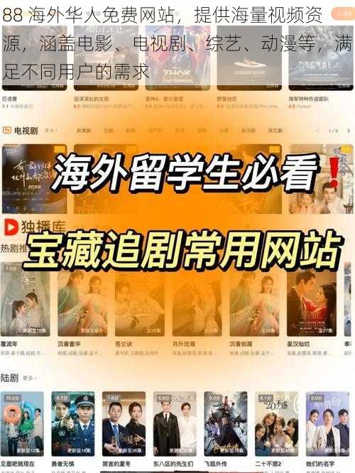 88 海外华人免费网站，提供海量视频资源，涵盖电影、电视剧、综艺、动漫等，满足不同用户的需求