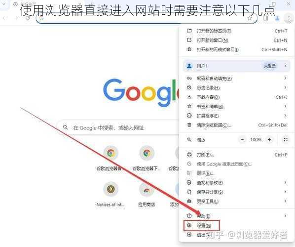 使用浏览器直接进入网站时需要注意以下几点