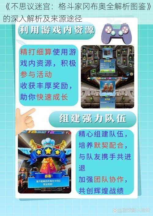 《不思议迷宫：格斗家冈布奥全解析图鉴》的深入解析及来源途径