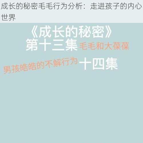 成长的秘密毛毛行为分析：走进孩子的内心世界