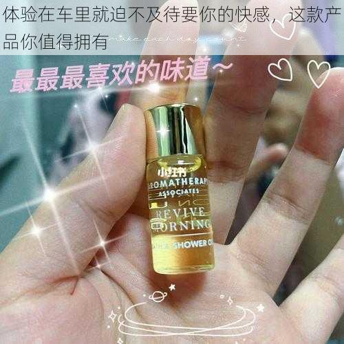 体验在车里就迫不及待要你的快感，这款产品你值得拥有