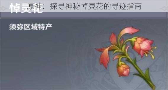 原神：探寻神秘悼灵花的寻迹指南