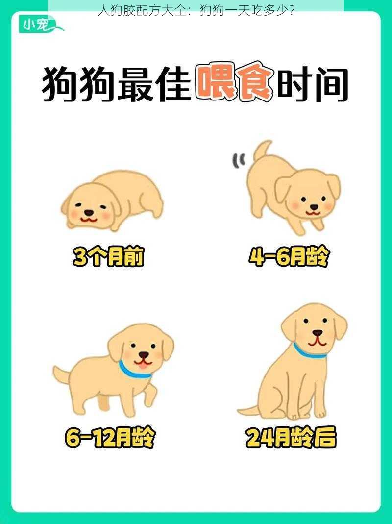 人狗胶配方大全：狗狗一天吃多少？