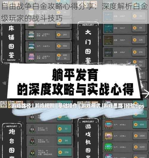 自由战争白金攻略心得分享：深度解析白金级玩家的战斗技巧